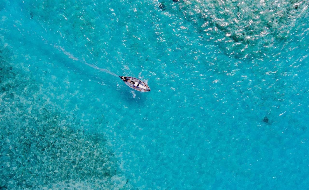 Paradise Retreat, Maafushi Eksteriør bilde