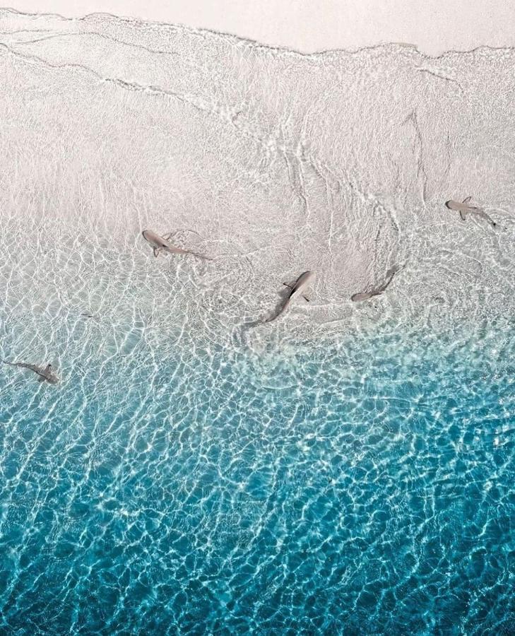 Paradise Retreat, Maafushi Eksteriør bilde
